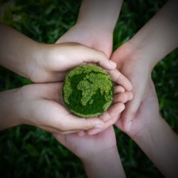 Hands holding a green earth